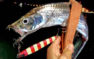 タチウオの釣り具