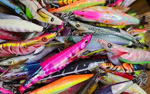 イカ・タコの釣り具