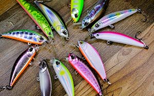 トラウト系の釣り具